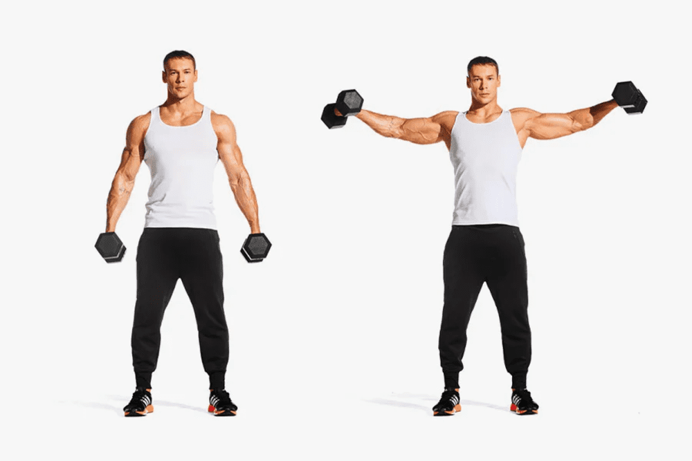 Bài tập vai Dumbbell Lateral Raise