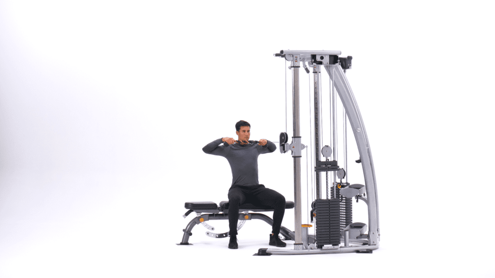 Bài tập vai Seated Cable Face Pull