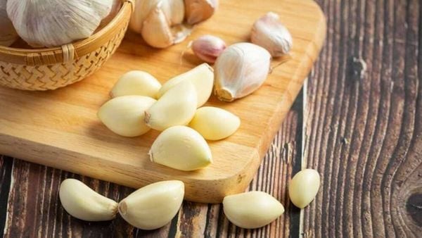 Tỏi có khả năng phục hồi các sợi collagen hư tổn