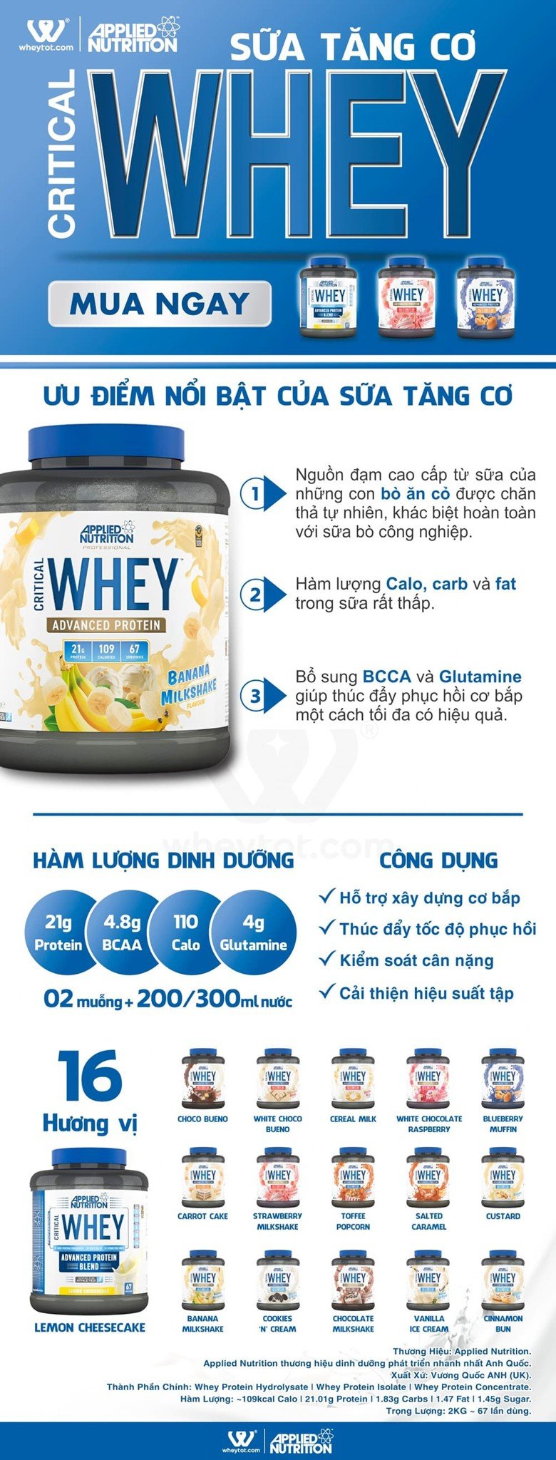Applied Nutrition Critical Whey Protein Blend