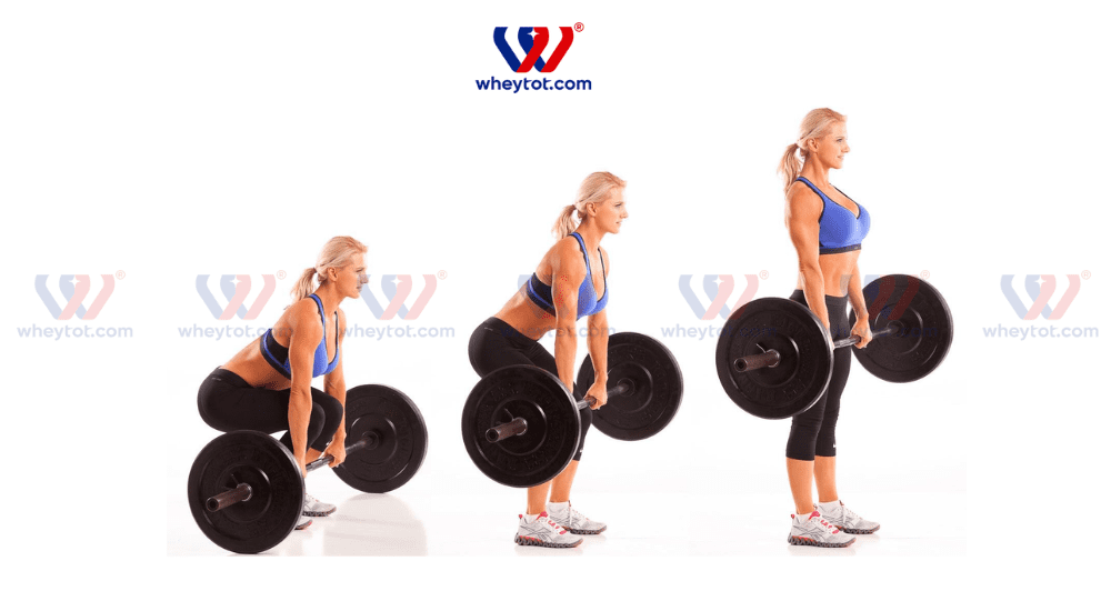 Deadlift là bài tập phức hợp giúp phát triển cơ bắp toàn diện