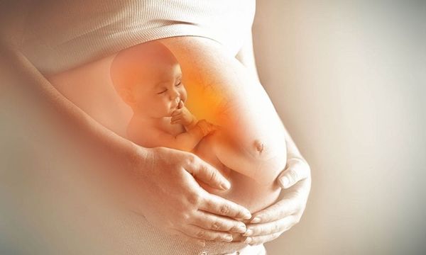 dha tốt cho trí não trẻ ngay từ trong bụng mẹ