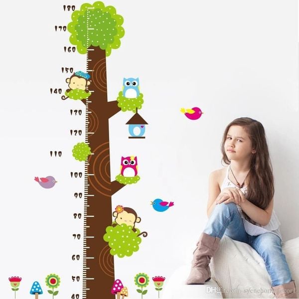 Bảng đo chiều cao tiện dụng, chính xác