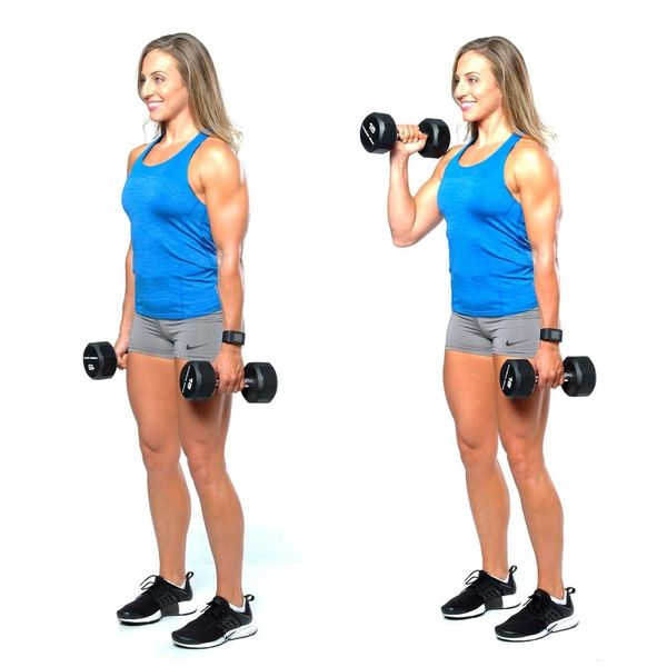 Bài tập Alternating Hammer Curl