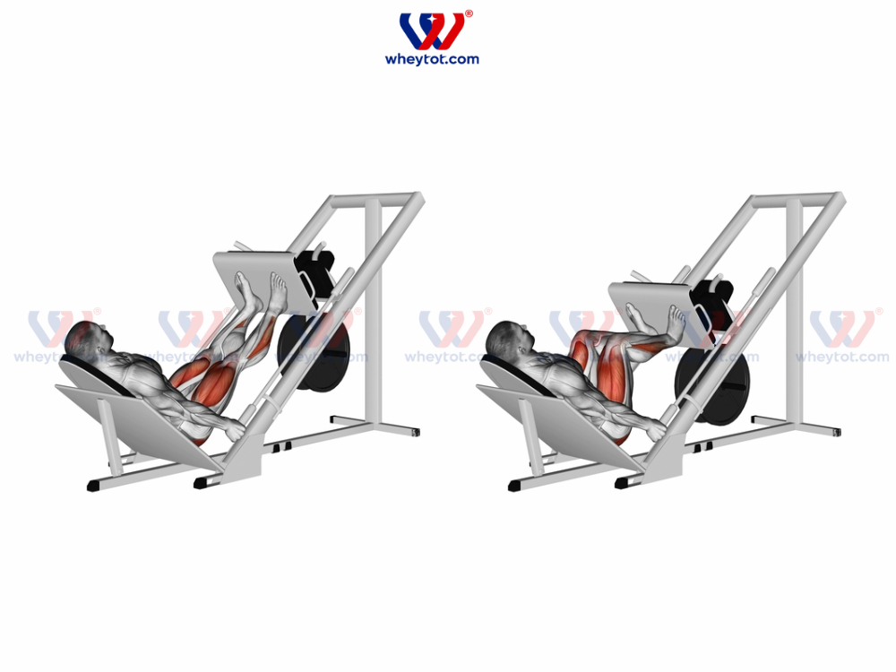 Bài tập theo lịch tập gym 3 buổi 1 tuần cho nam