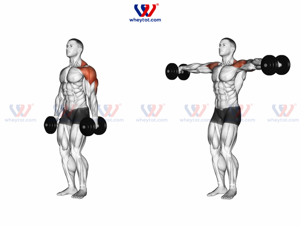 Bài tập buổi 1 trong lịch tập gym 3 buổi 1 tuần cho nam