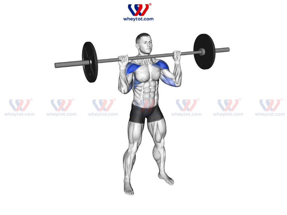 Bài tập cơ vai cho nam - Overhead Press: