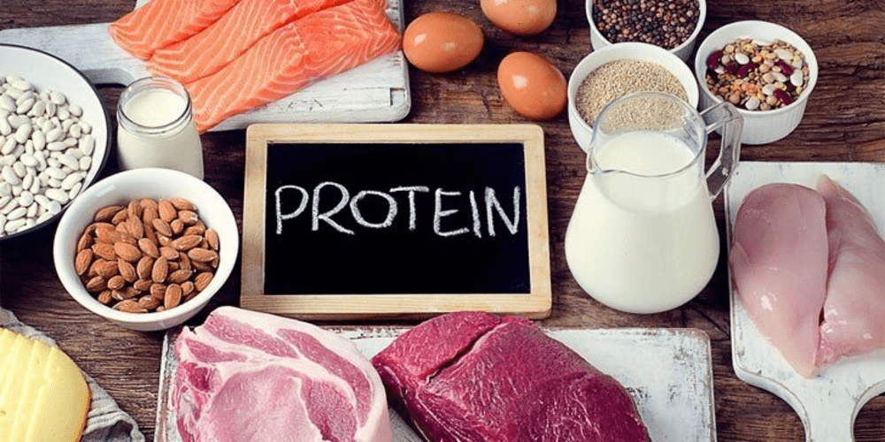 bổ sung protein để tăng kích thước vòng 3