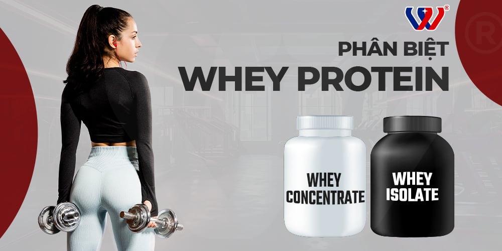 Phân biệt whey protein isolate và whey protein concentrate