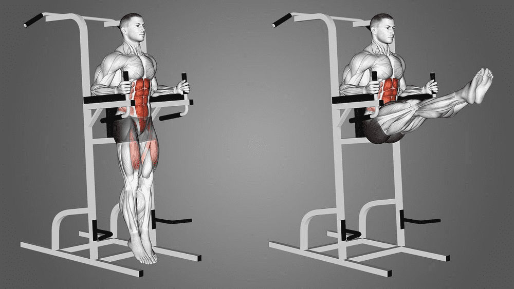 Bài tập gym giúp tăng chiều cao: Roman Chair Leg Raise