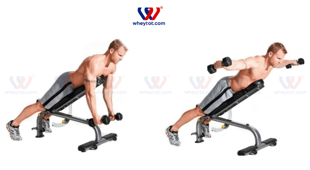 Bài tập lưng xô với tạ đơn: Lying Lateral Raise