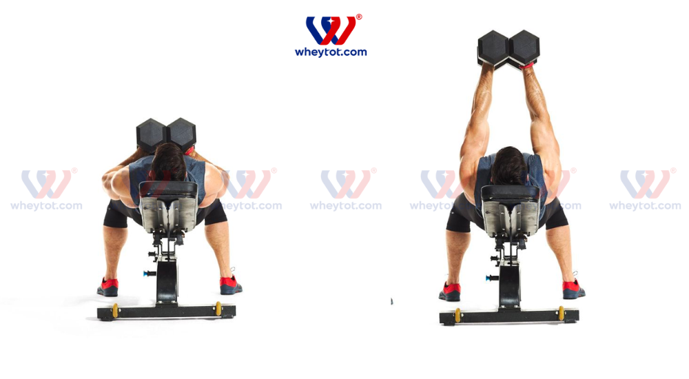 Bài tập ngực với tạ đơn Squeeze Dumbbell Press