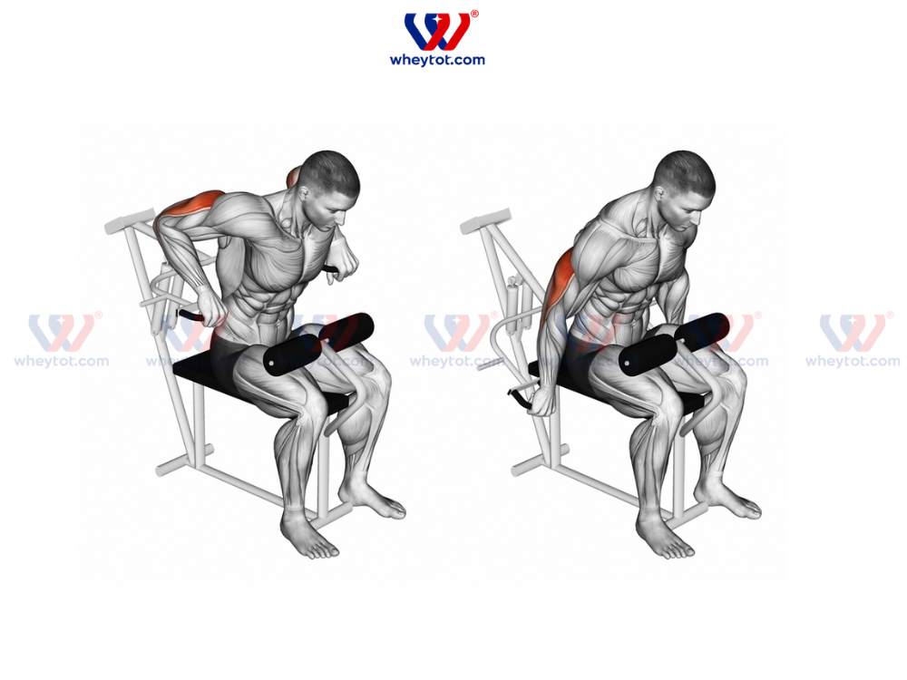 Bài tập cơ tay sau Triceps Machine Dip