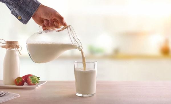 Sữa là thực phẩm giàu canxi, dễ hấp thụ