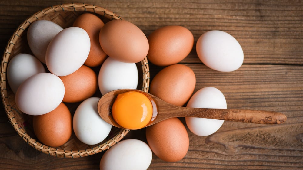 Thực phẩm giàu protein là trứng