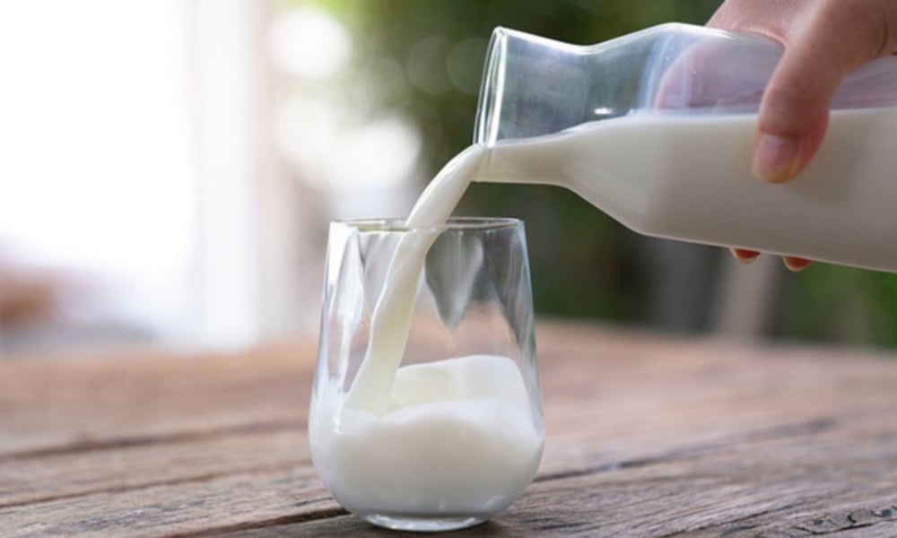 Sữa là thực phẩm giàu protein