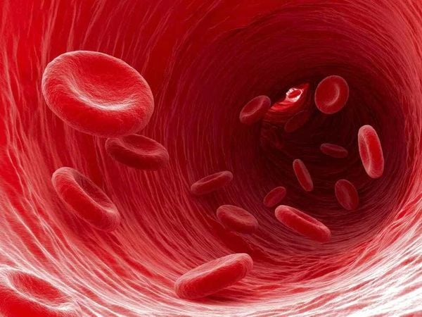 vitamin B12 ngăn ngừa thiếu máu