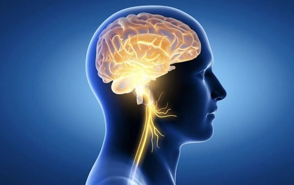 vitamin B12 tốt cho não bộ, trí nhớ
