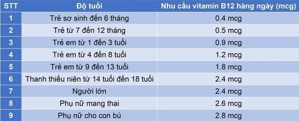 nhu cầu vitamin B12 hàng ngày
