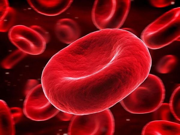 Vitamin b6 có tác dụng ngăn ngừa thiếu máu