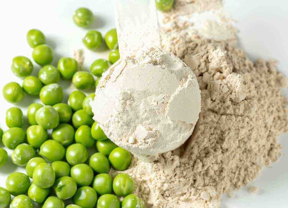 Nên dùng protein thực vật hay whey protein