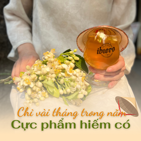 Bia Hoa Bưởi: Di sản hương vị Việt trong từng ngụm bia