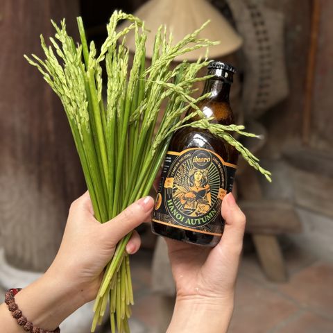 Top 5 loại bia tươi được khách hàng yêu thích nhất tại iBiero