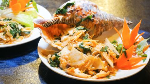 Where to Eat Atlantic Triton’s Trumpet Snail in District 1 Saigon