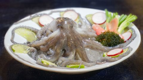 Đến Ngay Nhà Hàng Đại Việt Để Thưởng Thức Bạch Tuộc Tươi Ngon Chuẩn Vị Phan Thiết