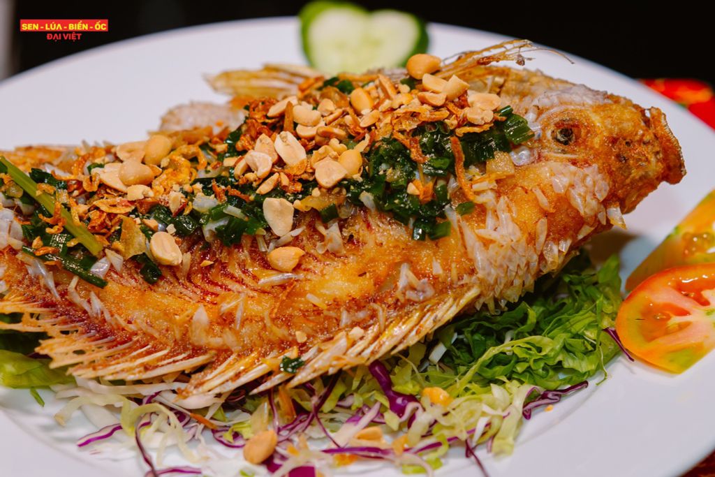 第一郡越南海鲜餐厅的特此的油炸红鲷鱼