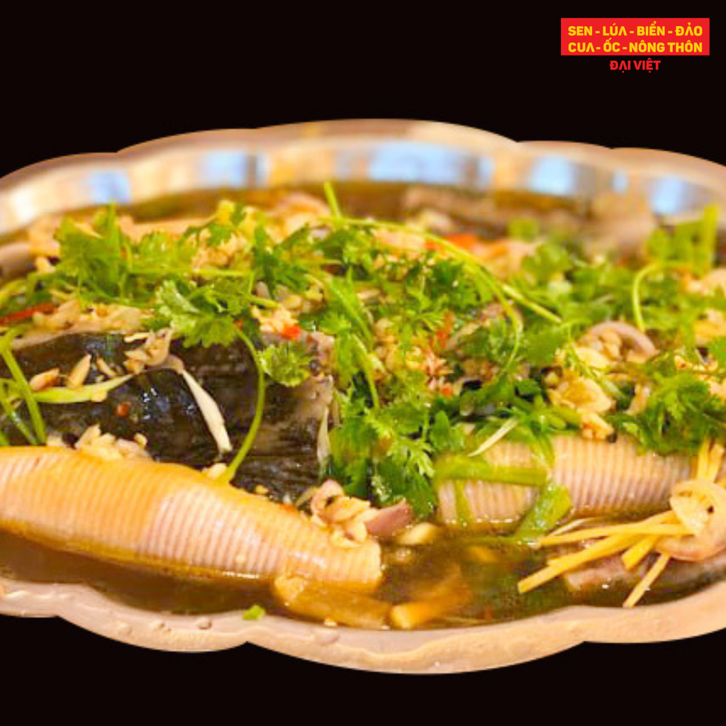 Steamed bluespotted ribbontail ray with soy sauce | Delicious seafood in District 1