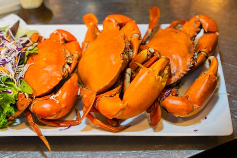 Hướng Dẫn Cách Chọn Cua Cà Mau Ngon, Thịt Chắc, Không Bị Ốp – Bí Quyết Dành Cho Người Sành Ăn