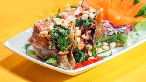 Ốc Đỏ Đại - Đặc Sản Phú Quý Đã Có Mặt Tại Nhà Hàng Đại Việt - Bùi Viện