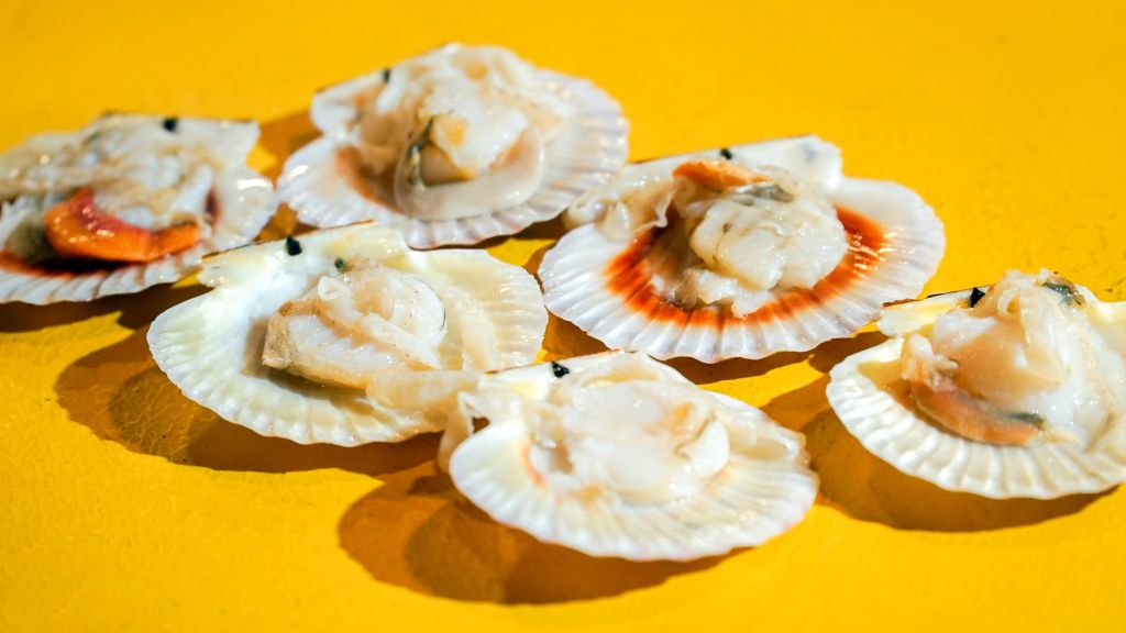 Sò Điệp – Đặc Sản Biển Bình Thuận Đã Có Mặt Tại Nhà Hàng Hải Sản Tươi Sống Đại Việt Bùi Viện