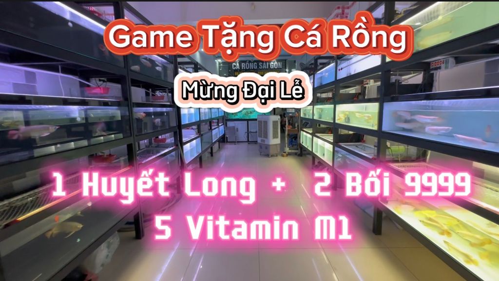 MINI GAME TẶNG CÁ RỒNG CHÚ ĐẦU BẠC