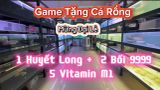 MINI GAME TẶNG CÁ RỒNG CHÚ ĐẦU BẠC