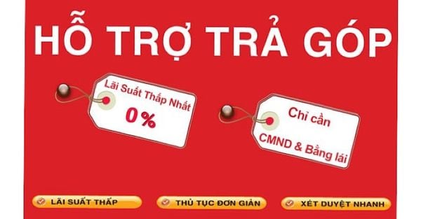Mua Cá Rồng Trả Góp