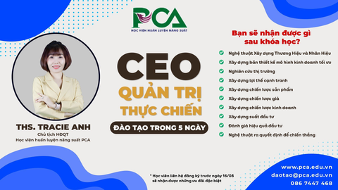 CEO QUẢN TRỊ VẬN HÀNH THỰC CHIẾN 02