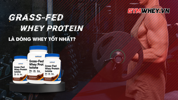 Grass-Fed Whey Protein Có Phải Là Dòng Whey Tốt Nhất?