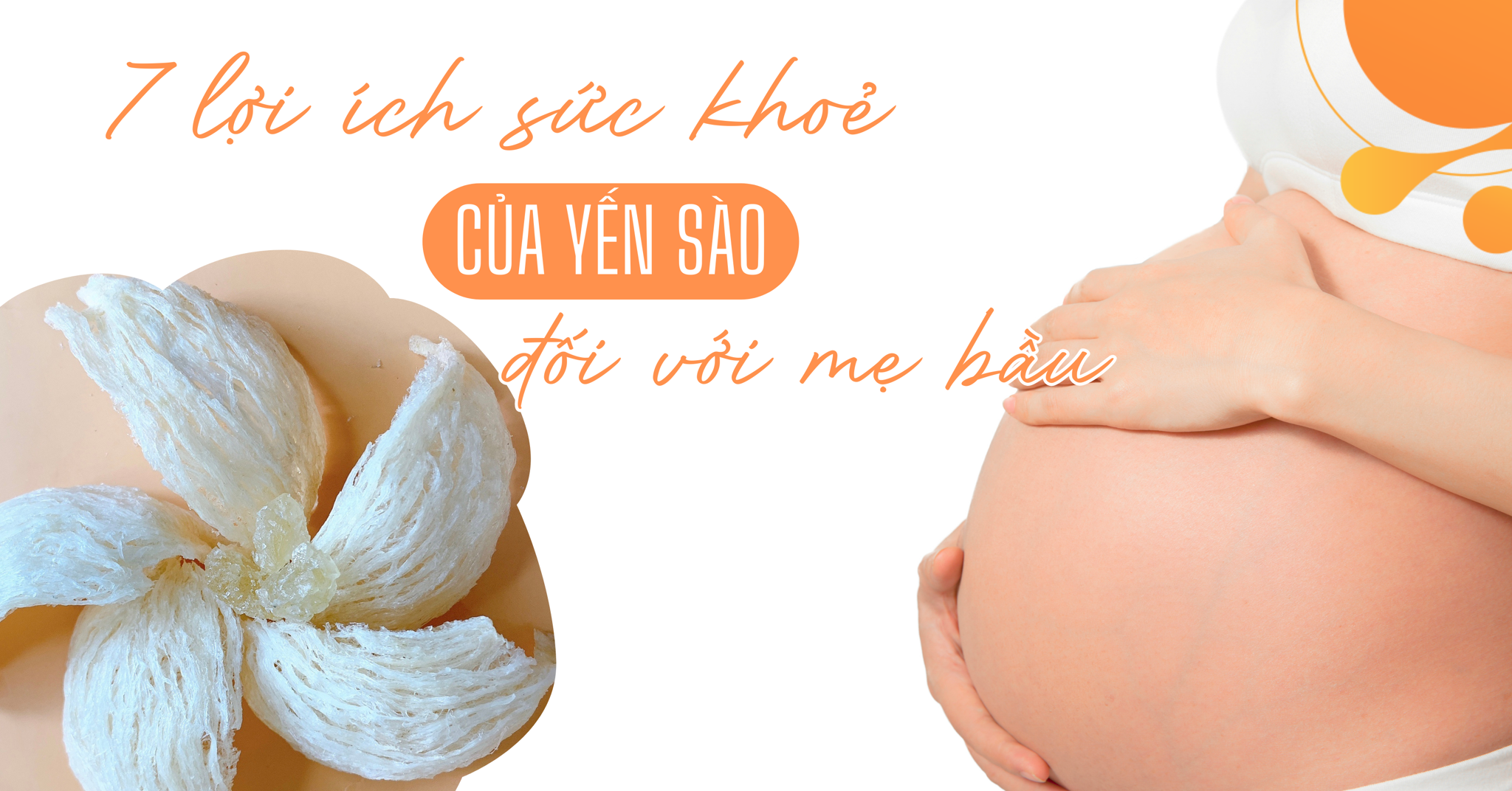 7 LỢI ÍCH SỨC KHỎE CỦA YẾN SÀO ĐỐI VỚI MẸ BẦU