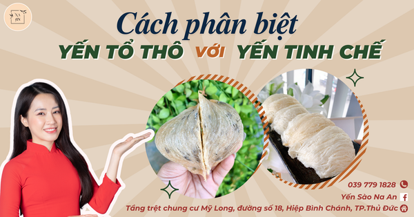 YẾN TINH CHẾ LÀ GÌ? CÁCH PHÂN BIỆT YẾN TINH CHẾ VÀ YẾN THÔ