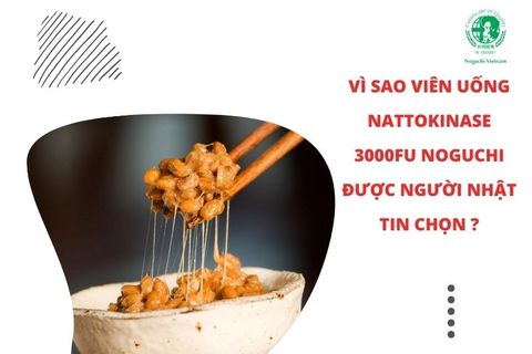 Natto là gì? Lý do Viên uống Nattokinase 3000FU Noguchi được người Nhật tin chọn?