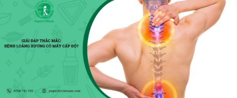 Giải đáp thắc mắc: Bệnh loãng xương có mấy cấp độ?