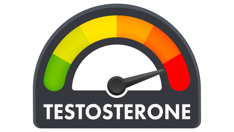 Kiến thức cần biết về testosterone và cách tăng testosterone tự nhiên