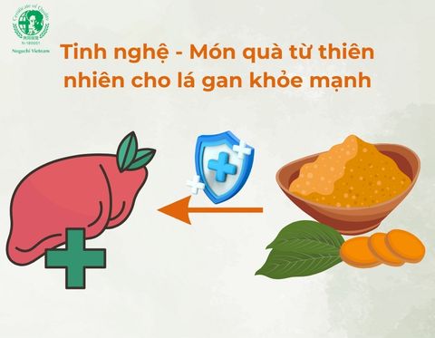 Tinh nghệ - Món quà từ thiên nhiên cho lá gan khỏe mạnh