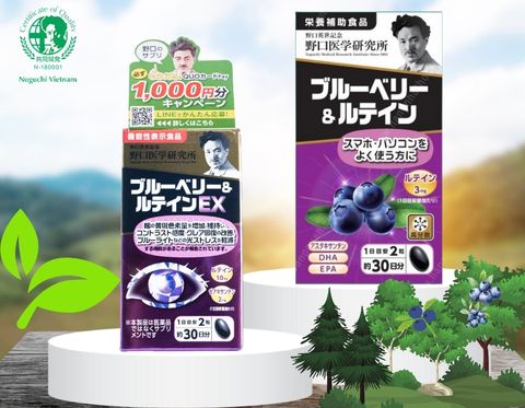 Viên uống bổ mắt Noguchi Nhật Bản: Mua ở đâu chính hãng, giá bao nhiêu?