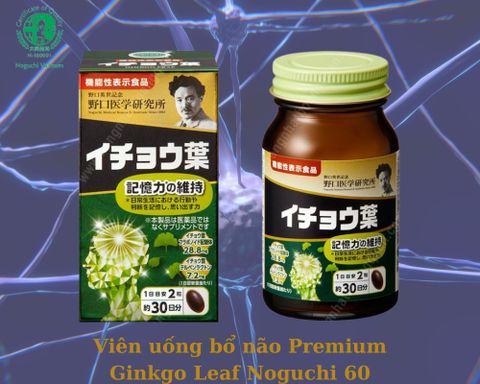 Thuốc Bổ Não Tốt Nhất Của Nhật Premium Ginkgo Leaf Noguchi 60 viên