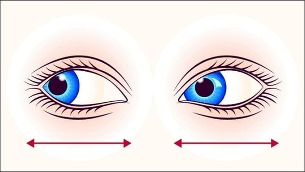 Nhìn nghiêng – Tăng cường khả năng bao quát của mắt