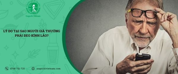 tại sao người già thường phải đeo kính lão