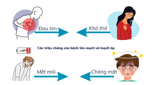Hình ảnh sản phẩm